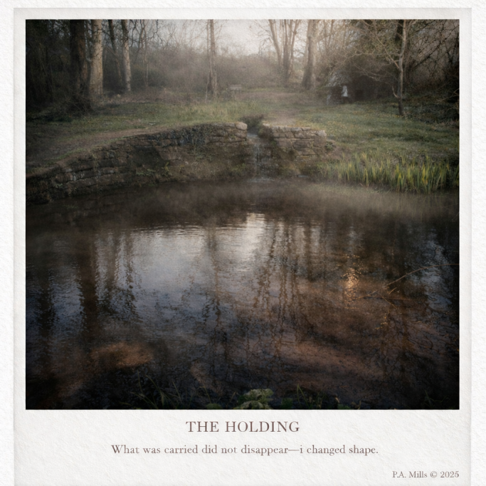 The Holding